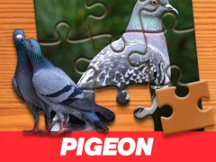 שפּיל Pigeon Jigsaw Puzzle אָנליין