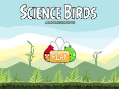 שפּיל Science Birds אָנליין
