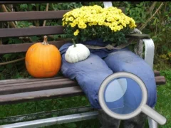 שפּיל Autumn Garden Find 100 butterflies אָנליין