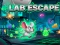 שפּיל Lab Escape אָנליין