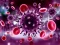 שפּיל Coronavirus Puzzle אָנליין