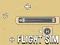 שפּיל Flight Sim אָנליין