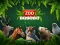 שפּיל ZOO Trivia אָנליין