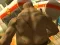 שפּיל Monster Simulator אָנליין