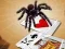 שפּיל Jumping Spider אָנליין