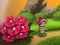 שפּיל Tiny garden אָנליין