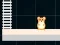שפּיל Hamster Grid Even Odd אָנליין