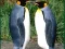 שפּיל Penguin Puzzle אָנליין