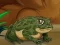 שפּיל Frogs Matching אָנליין