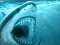 שפּיל Hungry Shark אָנליין