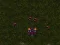 שפּיל Starcraft 3 אָנליין