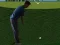 שפּיל Flash Golf 3D אָנליין