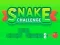שפּיל Snake Challenge אָנליין