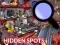 שפּיל Hidden Spots In The Room אָנליין