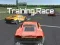 שפּיל Training Race אָנליין
