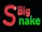 שפּיל Big Snake.io אָנליין