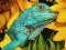 שפּיל Ultimate Puzzles Animals 6 אָנליין