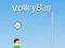 שפּיל VolleyBall אָנליין