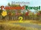 שפּיל Mysterious Password Forest Autumn Edition 2 אָנליין