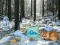 שפּיל Winter Wonderland Forest Adventure אָנליין