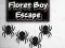 שפּיל Floret Boy Escape אָנליין