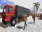 שפּיל Asian offroad cargo truck driver אָנליין