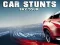 שפּיל Car Stunts Sky Tour אָנליין