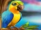 שפּיל Little Parrot Escape אָנליין