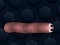 שפּיל Math Slither אָנליין