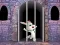 שפּיל Victory Rabbit Escape אָנליין