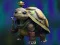 שפּיל Isolated Turtle Escape אָנליין