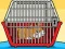 שפּיל Rescue The Hamster From Cage אָנליין