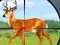 שפּיל Wild Hunt Hunting Games 3D אָנליין