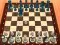 שפּיל Chess Master 3D אָנליין