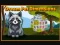 שפּיל Dream Pet Dimensions אָנליין