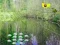שפּיל Sunlight Forest Adventure אָנליין
