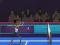 שפּיל Badminton Brawl אָנליין