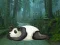 שפּיל Wakeup The Sleeping Panda אָנליין