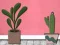 שפּיל Find Houseplant אָנליין