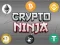 שפּיל Crypto Ninja אָנליין