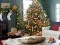 שפּיל Gingerbread Gala Hunt for 100 Sweet Delights אָנליין