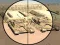 שפּיל Camo Sniper אָנליין