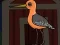 שפּיל Cute Godwit Escape אָנליין