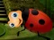 שפּיל Rescue The Couple Bug אָנליין