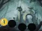 שפּיל Hungry Devil Forest Escape אָנליין