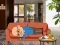 שפּיל Wakeup The Grandpa אָנליין