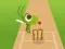 שפּיל Doodle Cricket אָנליין