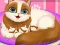 שפּיל Cute Kitty Pregnant אָנליין
