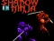 שפּיל Shadow of the Ninja אָנליין