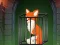 שפּיל Fox in the Forgotten Ruins אָנליין